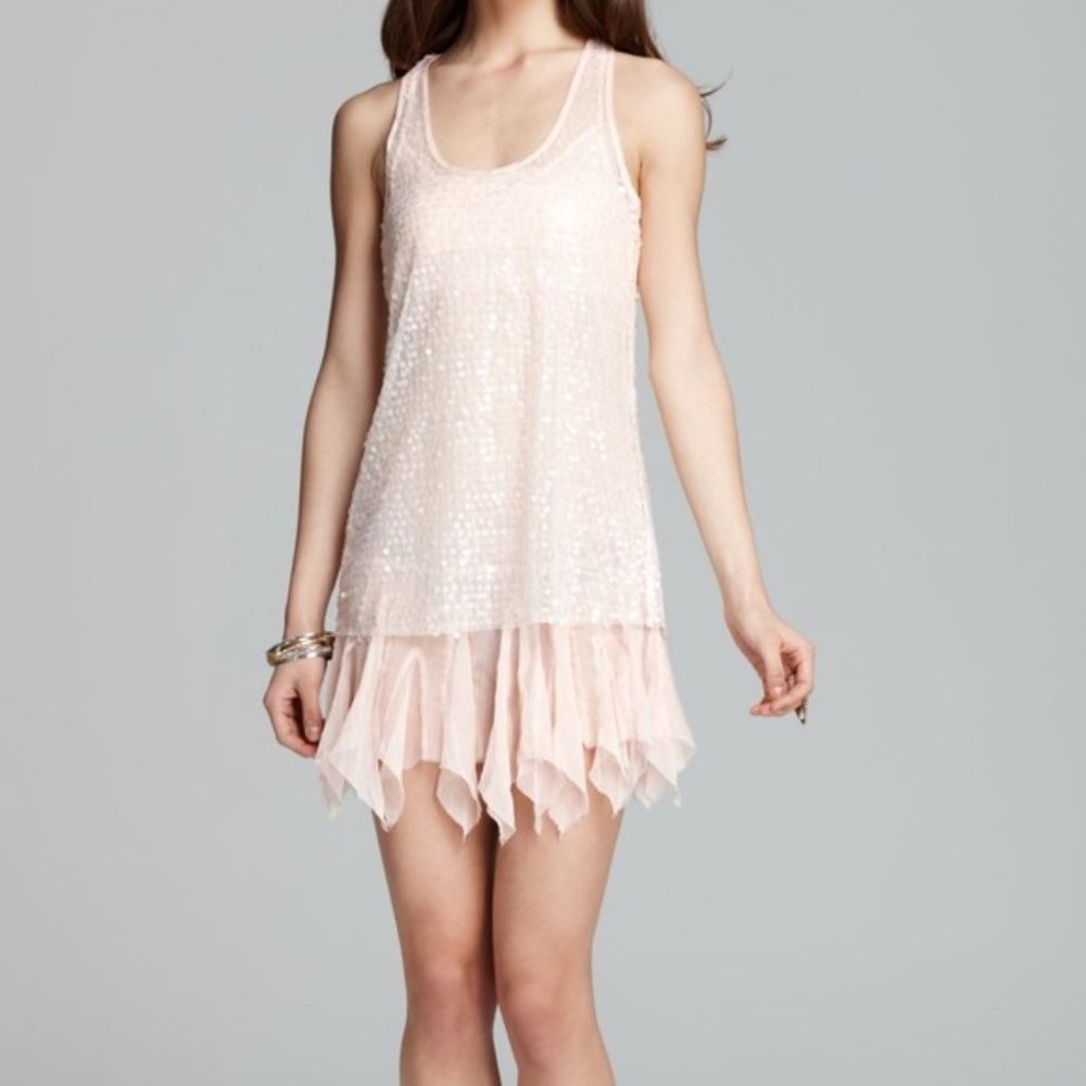 NWOT Intimately Free People Sheer Ruffle Slip